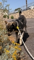 TILO Image 1